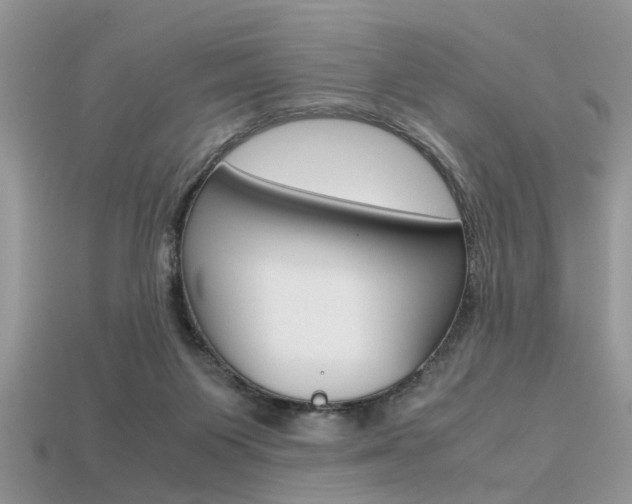 X0000113600119200909181117