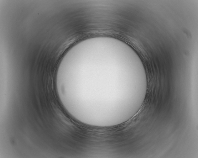 X0000113600120200909181117