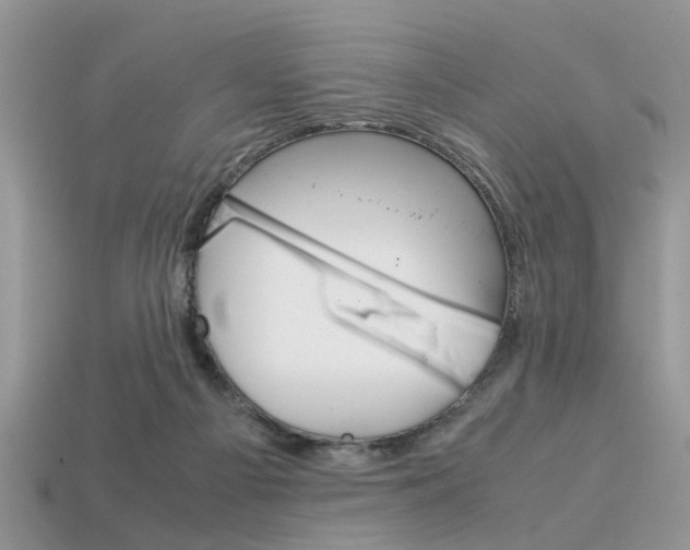 X0000113600121200909181117