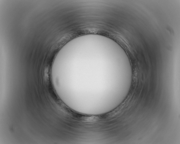 X0000113600122200909181117