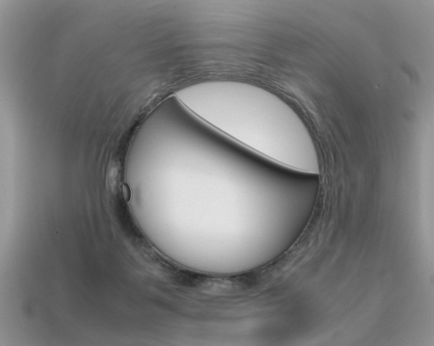 X0000113600123200909181117