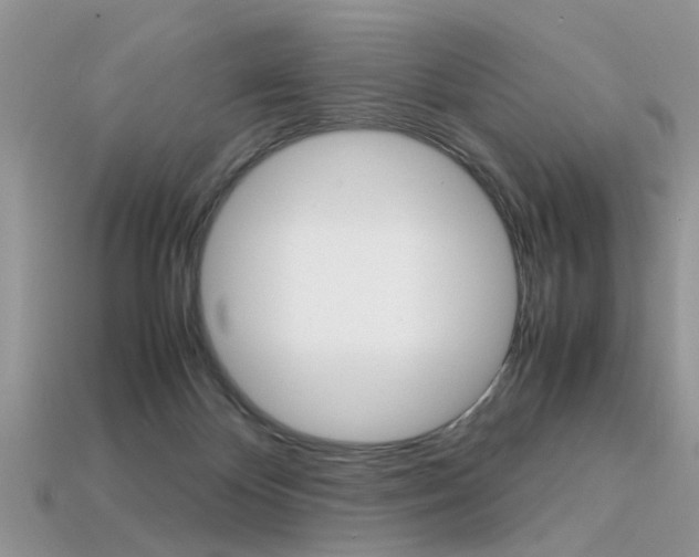 X0000113600124200909181117