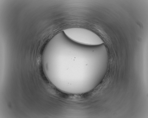 X0000113600125200909181117