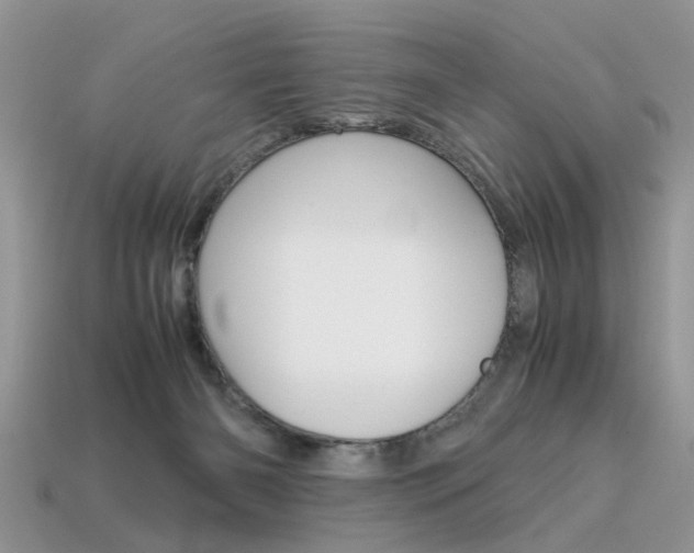 X0000113600126200909181117