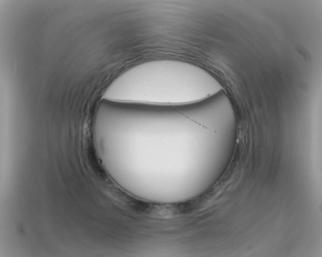 X0000113600127200909181117