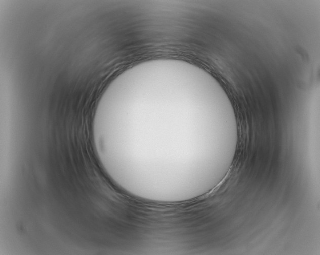 X0000113600128200909181117