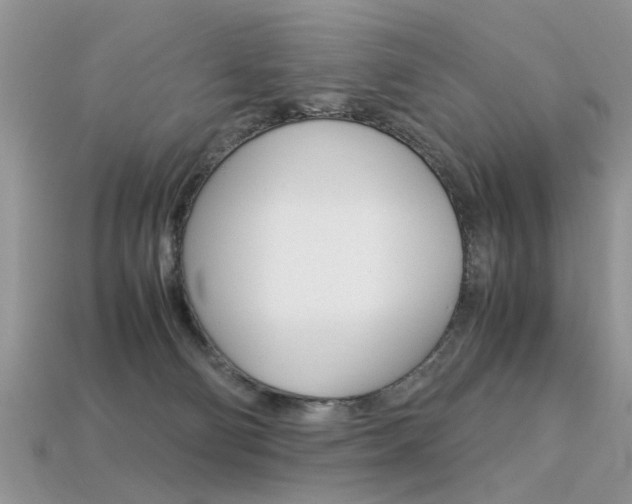 X0000113600130200909181117