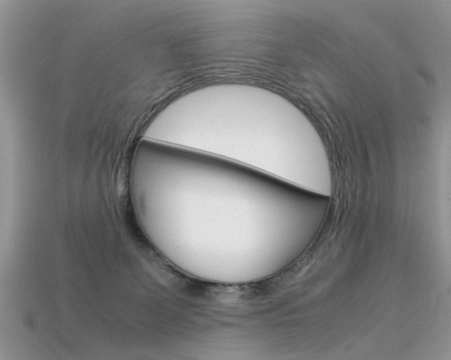 X0000113600131200909181117