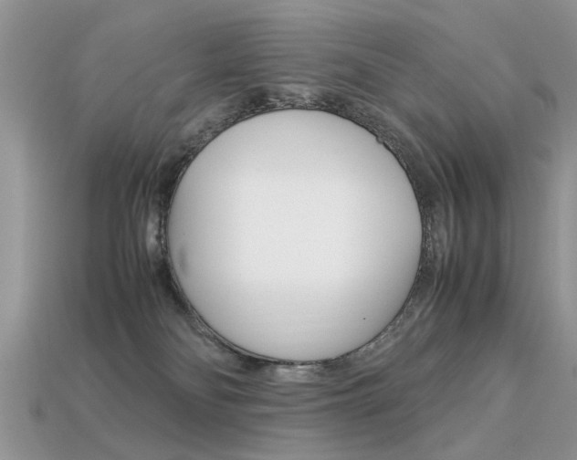 X0000113600134200909181117