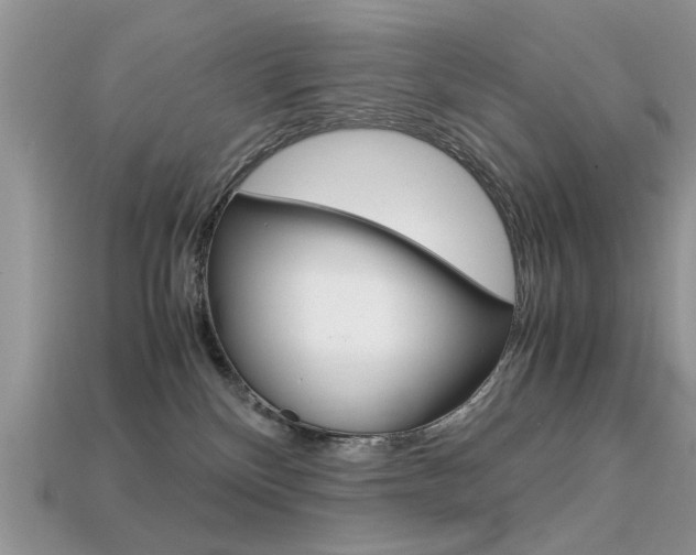 X0000113600136200909181117