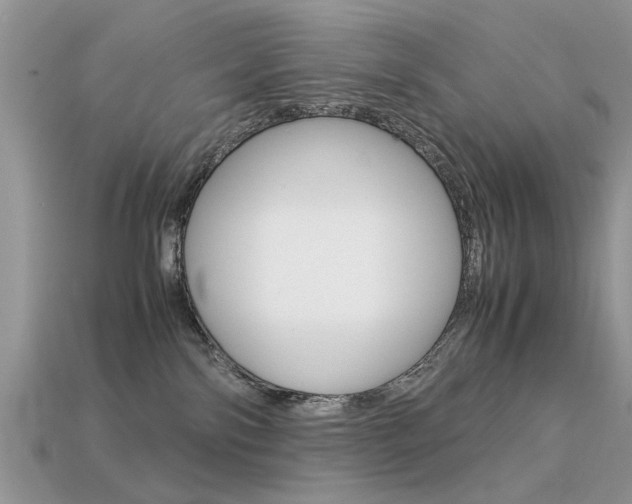 X0000113600138200909181117