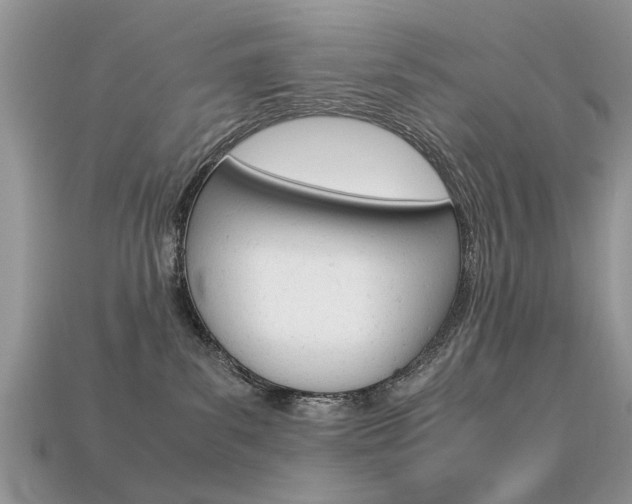 X0000113600139200909181117