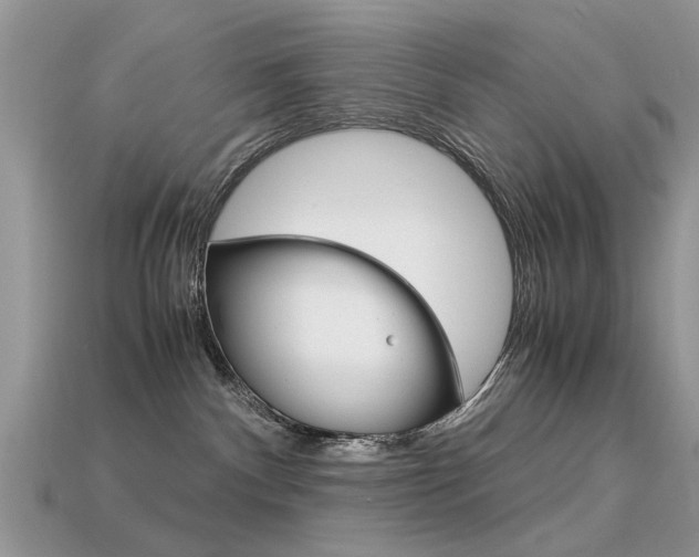 X0000113600140200909181117