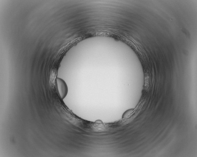 X0000113600142200909181117