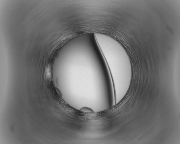 X0000113600143200909181117