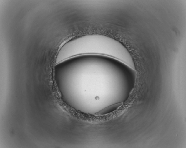 X0000113600144200909181117