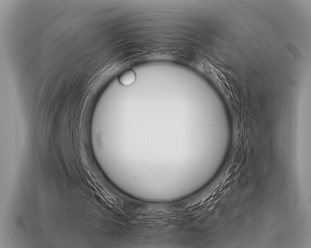 X0000113600145200909181116