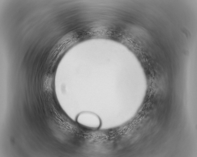 X0000113600146200909181116