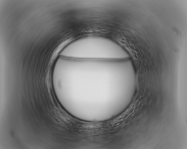 X0000113600147200909181116