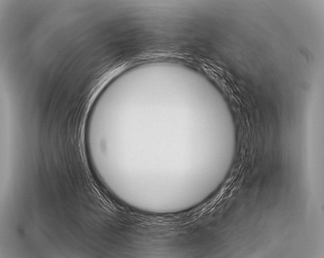 X0000113600148200909181116