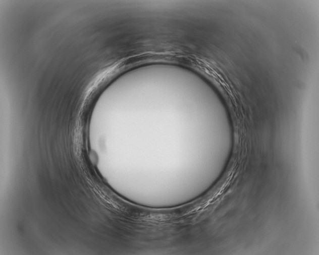 X0000113600149200909181116