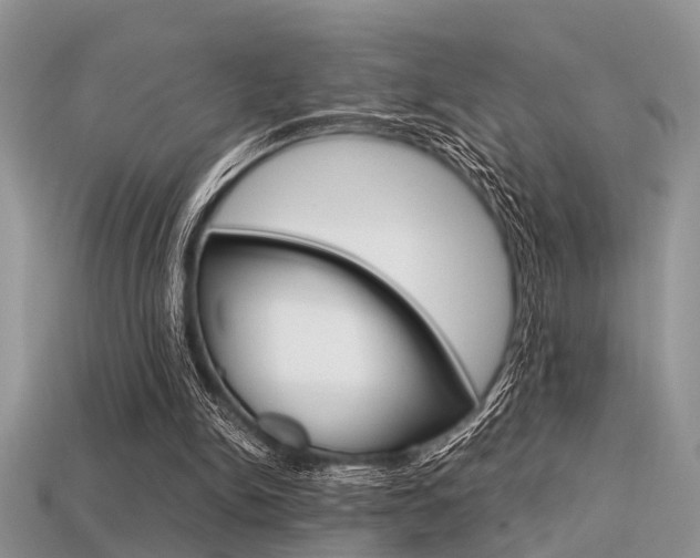 X0000113600150200909181116