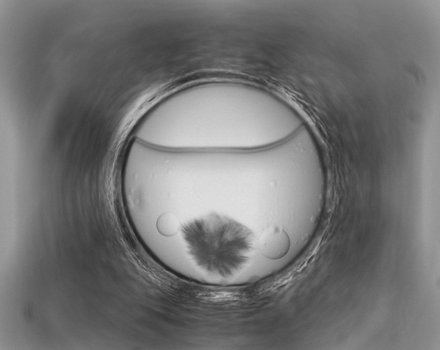 X0000113600151200909181116