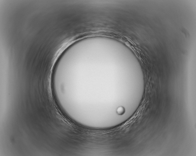 X0000113600152200909181116