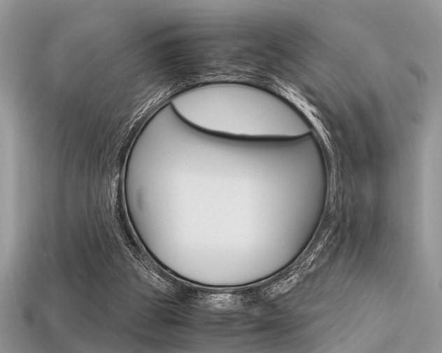 X0000113600153200909181116