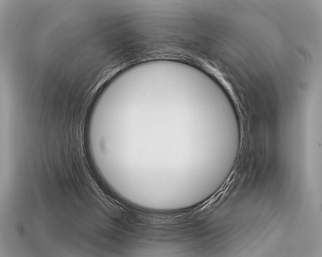 X0000113600154200909181116