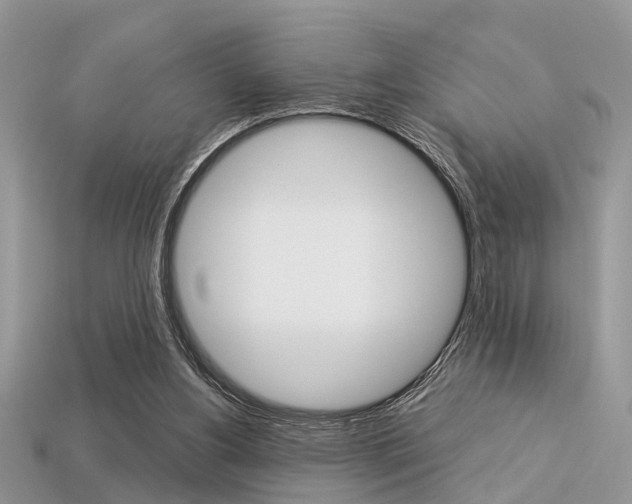 X0000113600156200909181116