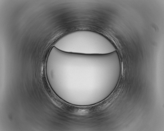 X0000113600157200909181116