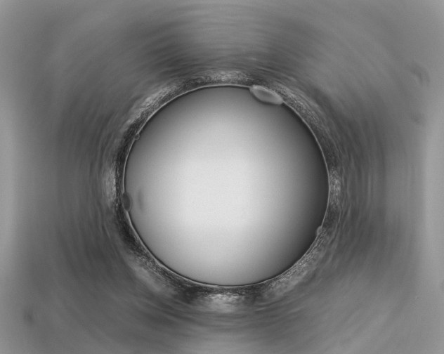 X0000113600158200909181116