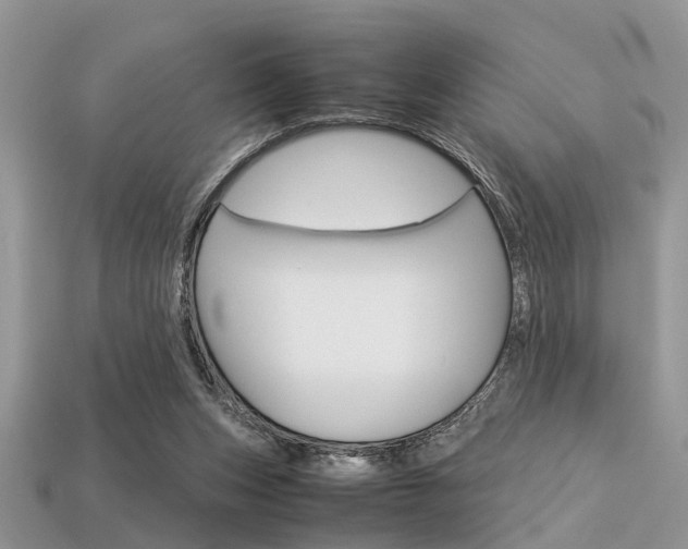 X0000113600159200909181116