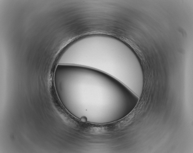 X0000113600160200909181116