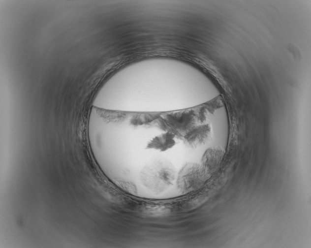 X0000113600161200909181116