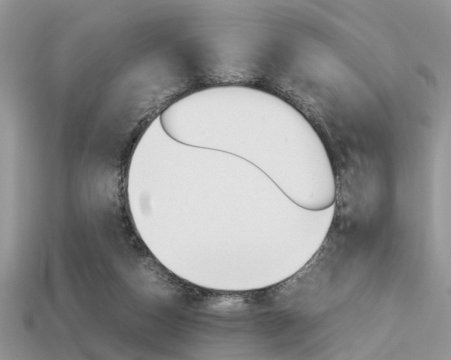 X0000113600162200909181116