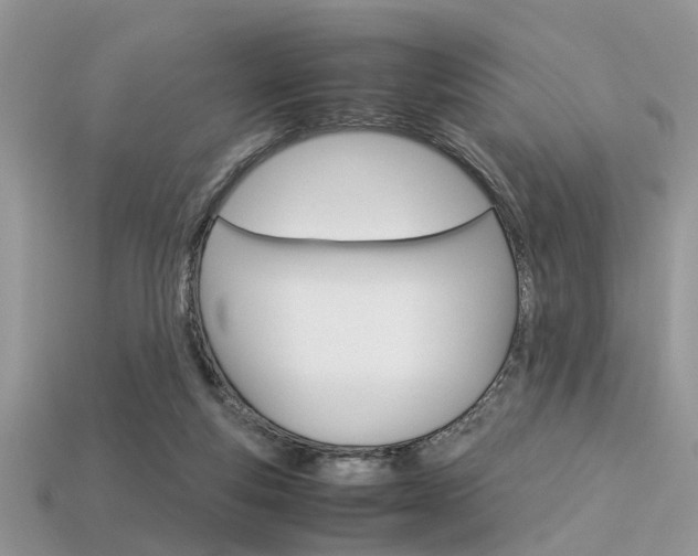 X0000113600163200909181116