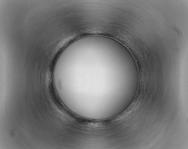 X0000113600164200909181116