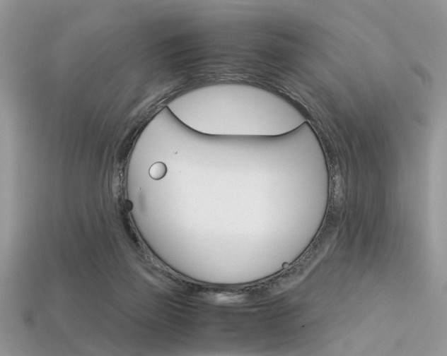 X0000113600165200909181116