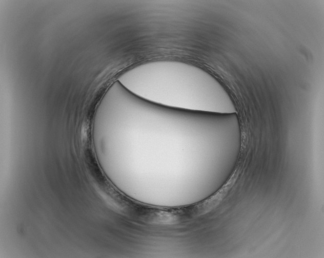 X0000113600166200909181116