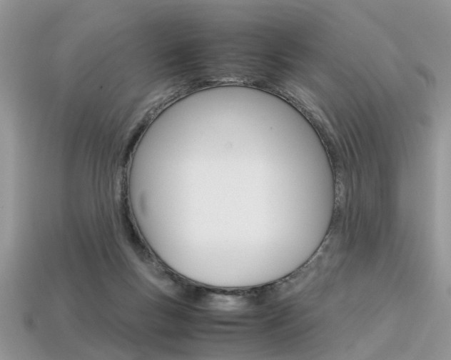 X0000113600167200909181116