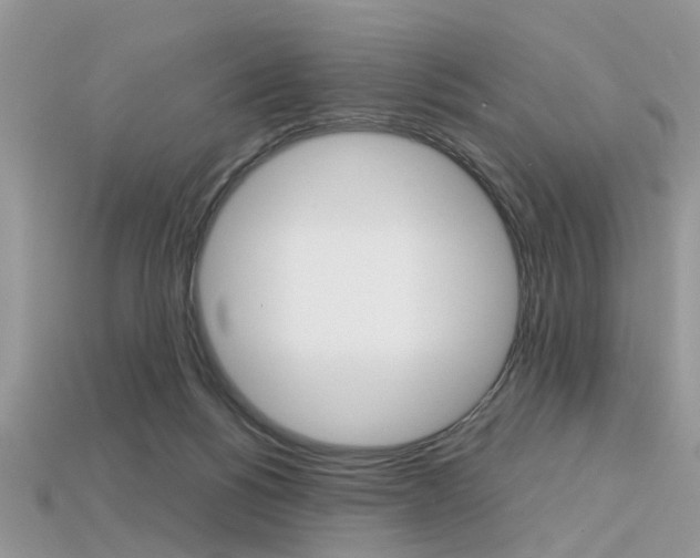 X0000113600168200909181116