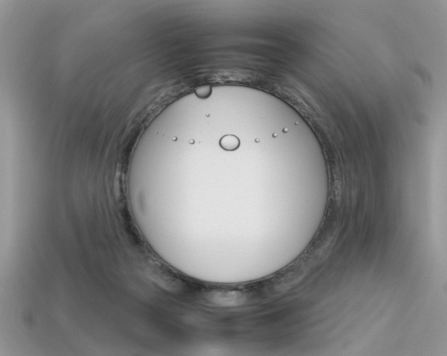 X0000113600169200909181116