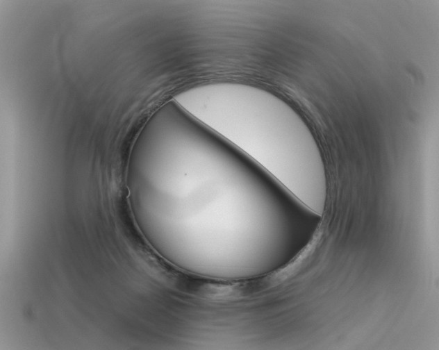 X0000113600170200909181116