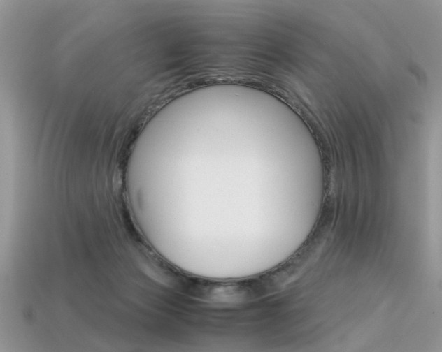 X0000113600173200909181116