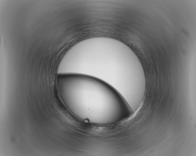 X0000113600174200909181116