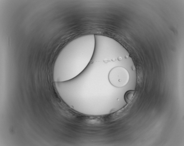 X0000113600175200909181116