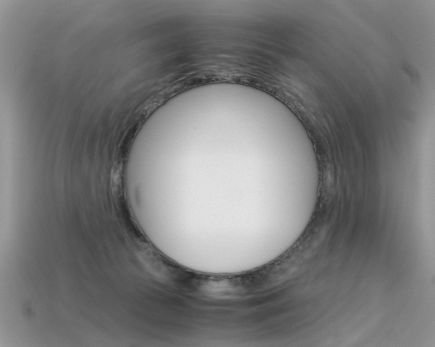 X0000113600177200909181116