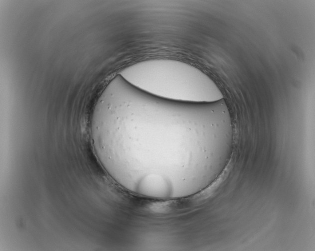 X0000113600178200909181116